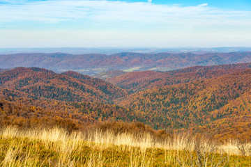 Bieszczady - mountains in Poland covered with forest © Adam Wasilewski
