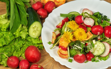 fresh vitamin salad with radish and cucumber