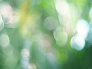 Green light bokeh nature background. Abstract blurred background. Natural bokeh.