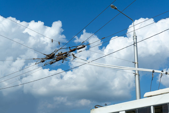 Overhead catenary, part of overhead line equipment of passenger city electric bus. Electrification system