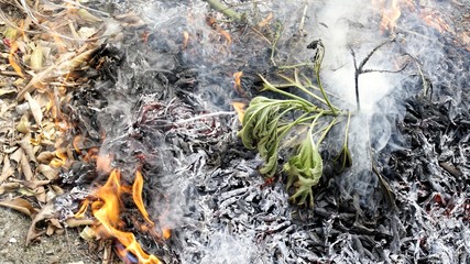 Image of fire burning and smoke