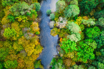 Wonderful forest and river in autumn, aerial view