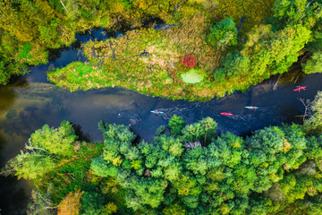 Kayaking on river near autumn forest, view from above