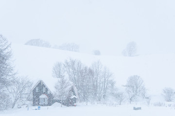 吹雪の風景