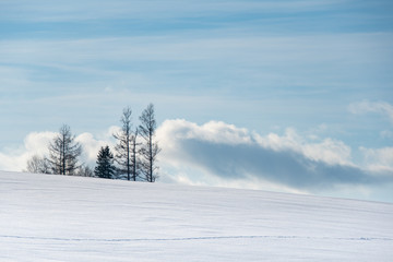 Fototapeta na wymiar 雪の丘