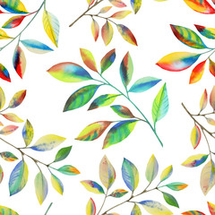 Naklejki  Kolorowe liście na gałęzi. Bezszwowe ręcznie rysowane wzór graficzny liści tapeta ogrodowa na białym tle. Kwiatowy tło. Ilustracja botaniczna.
