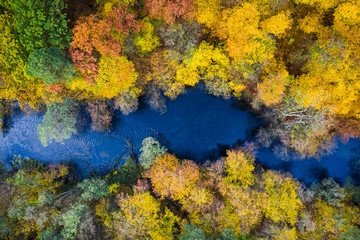 River and yellow forest in autumn, view from above