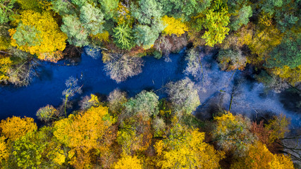 Fototapeta na wymiar Blue river and autumn forest, view from above