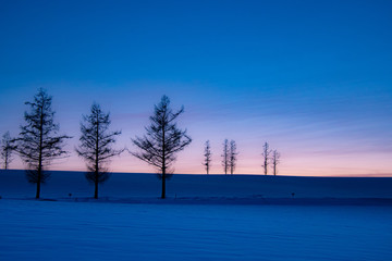 静かな美瑛の夕暮れ