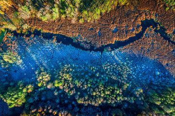 Blue and brown swamp in autumn, view from above