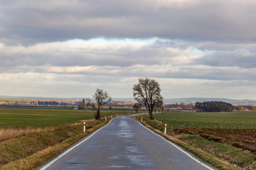 Rural asphalt road in South Bohemian region, Czech Republic.