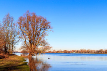La Meuse en Hollande