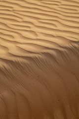 scale backgrounds of desert and dunes, Dubai, Emirates