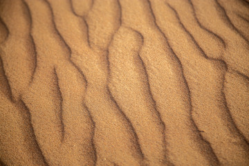 scale backgrounds of desert and dunes, Dubai, Emirates