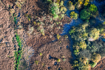 Top down view of autumn swamp at sunrise