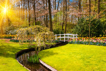 Blooming flowers in Keukenhof park in Netherlands, Europe