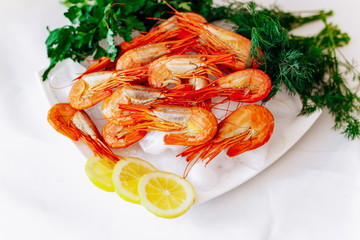 Shrimp on a plate with lemon and dill. White background