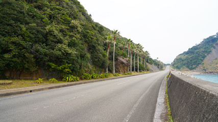 road off the coast of the turquoise ocean. road on a tropical island of Japan with views of the ocean and volcanic cliffs. palm trees, pacific ocean