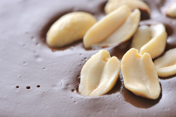 Fototapeta na wymiar Peanuts on Top of Chocolate Frosting
