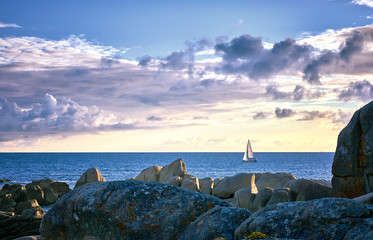Velero