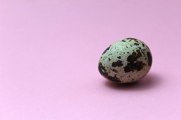One quail eggs lie on a pink background