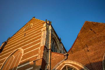 Fototapeta na wymiar Side view, walls lit by falling sunlight of Collegiate Church Saint-Martin. Street image from below, clear blue sky, golden hour warm colors. Aalst, Flemish part of Belgium, Europe