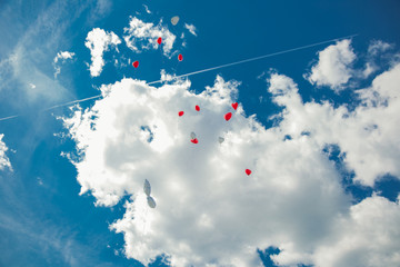 Balony na niebie © Studio Migafka