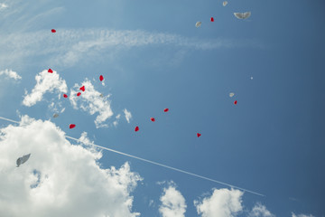 Balony na niebie © Studio Migafka