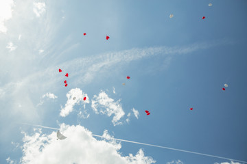 Balony na niebie © Studio Migafka