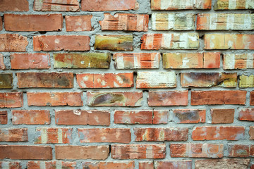 Fototapeta premium Abstract background. Old red brick wall texture for your text or design. Toned.