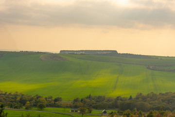Obraz premium 夕方の北海道の牧場