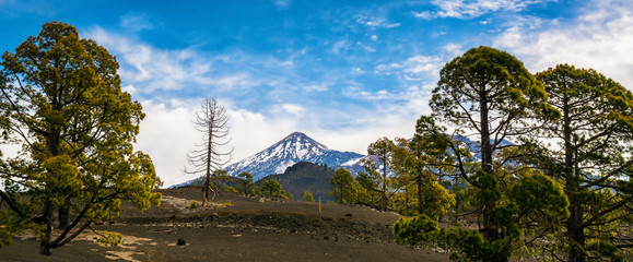 View of the volcano Teide. Amazing nature in Teide National Park, Tenerife, Canary Islands, Spain. Artistic picture. Beauty world. Panorama