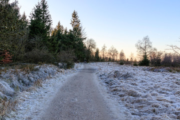 L'hiver sur les chemins des Hautes-Fagnes