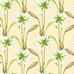 Watercolor white lilies. Seamless patterns. Wild flower set isolated on white. Botanical watercolor illustration, white lilies bouquet, rustic lilies flowers.
