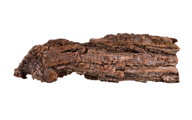 tree bark isolated on white background