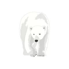 Foto op Canvas Illustration of Polar Bear vector, international Polar Bear day © ramades