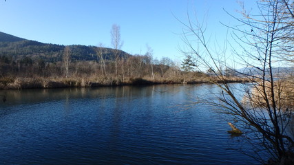 reflection of trees in lake