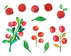 Watercolor cranberry stock illustration. Red watercolor berries. 