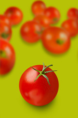 the most beautiful tomato on green