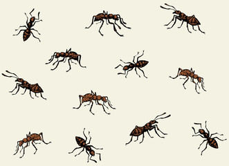 Ant. Vector drawing