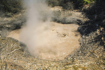 Mud pool at Kuirau Park  in Rotorua, North Island, New Zealand