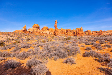 Fototapeta na wymiar Panoramic picture of natural and geological wonders of Arches national park in Utah in winter