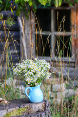 Bouquet of small white daisy flowers in a blue ceramic vase