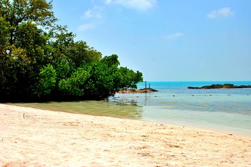 Contoy Island, Nature Reserve and Mexican National Wildlife Refuge