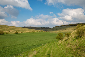 Fototapeta na wymiar A green Sussex farm landscape on a sunny spring morning