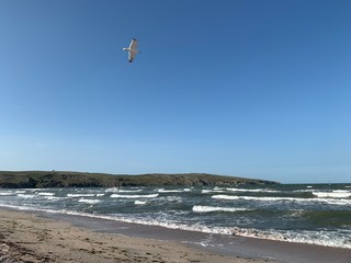 Summer, seascape in blue shades