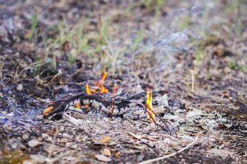 Burning dry twigs. Bonfire at a camp in summer evening outdoors