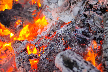 Bonfire at a camp in summer evening outdoors