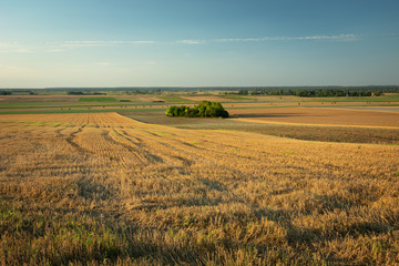 Panorama of farmland, horizon and sky
