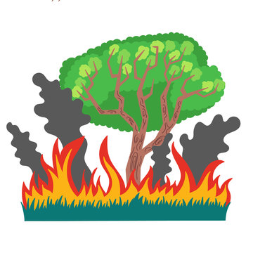 Forest and grass in fire and smoke. An ecological disaster in Australia forest fires. Vector isolated illustration on white background